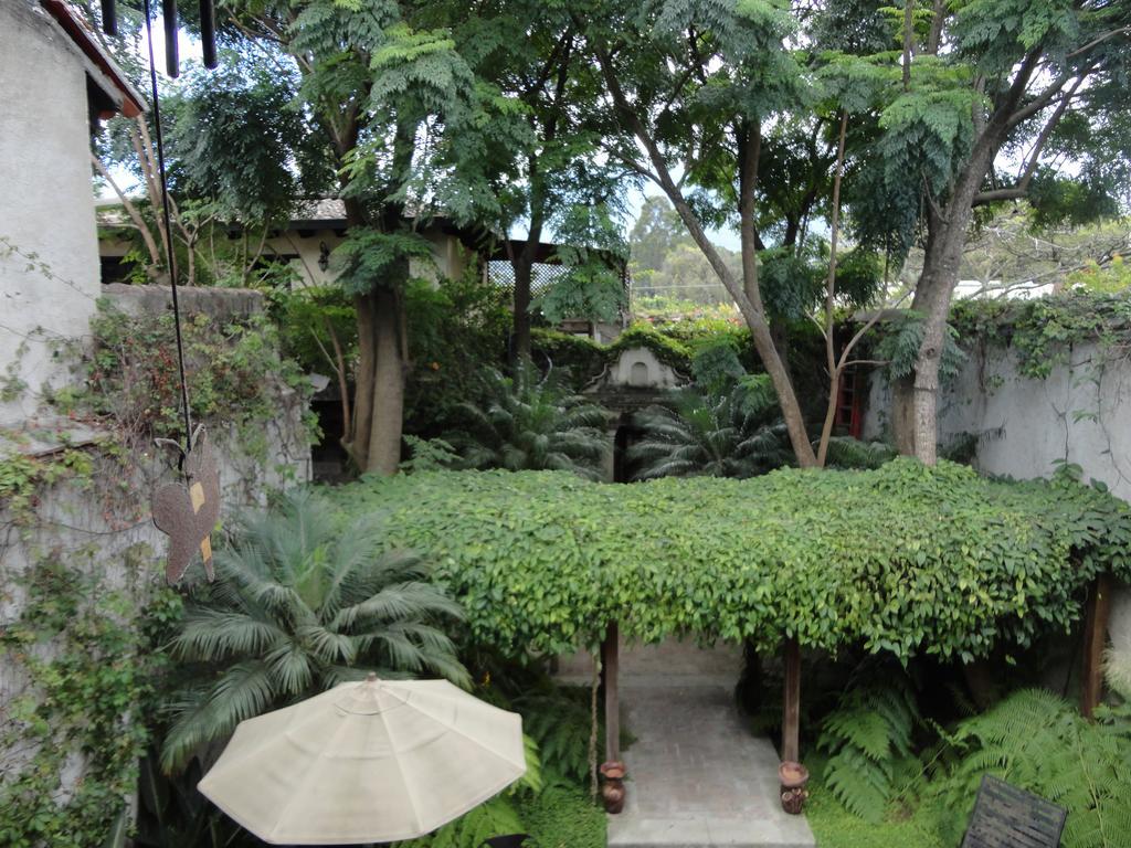 Cissus Hotel Boutique (Adults Only) Antigua Eksteriør bilde