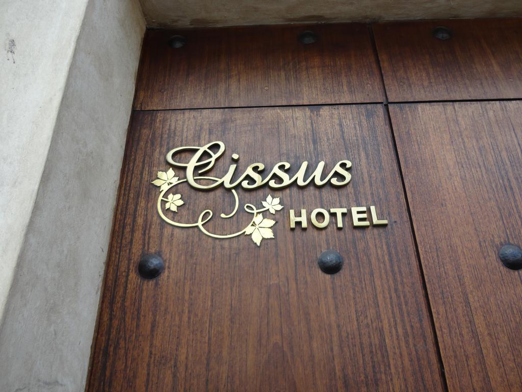 Cissus Hotel Boutique (Adults Only) Antigua Rom bilde