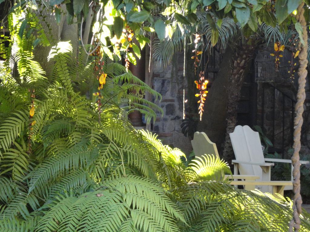 Cissus Hotel Boutique (Adults Only) Antigua Eksteriør bilde