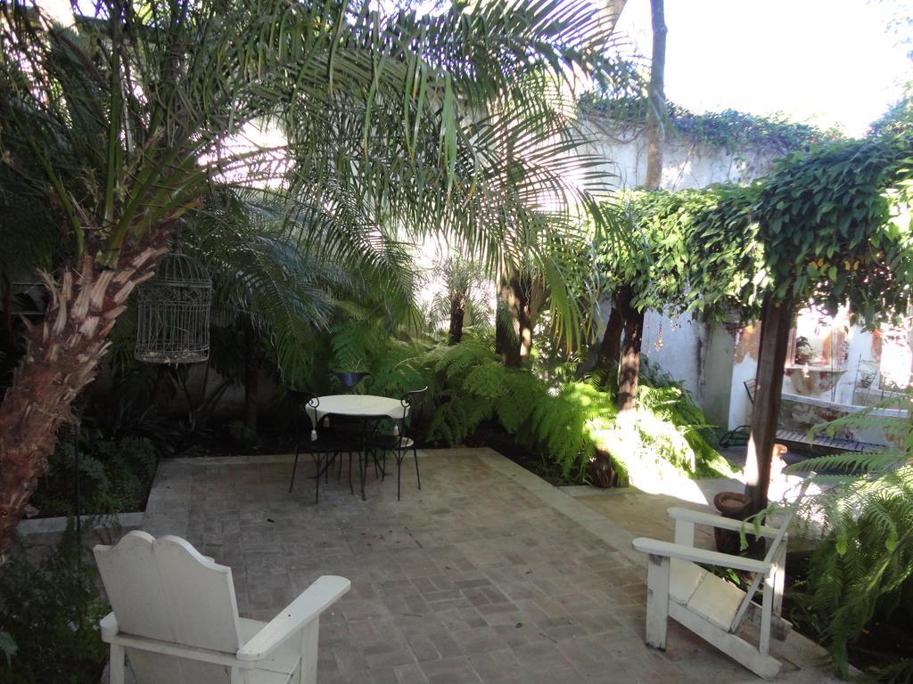 Cissus Hotel Boutique (Adults Only) Antigua Eksteriør bilde