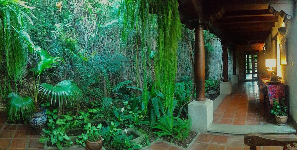 Cissus Hotel Boutique (Adults Only) Antigua Eksteriør bilde