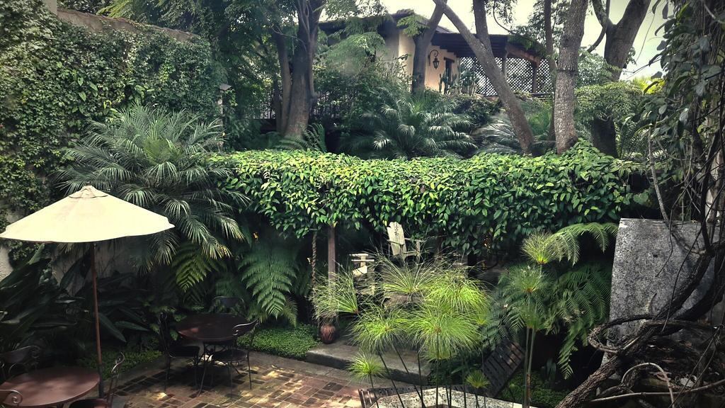 Cissus Hotel Boutique (Adults Only) Antigua Eksteriør bilde