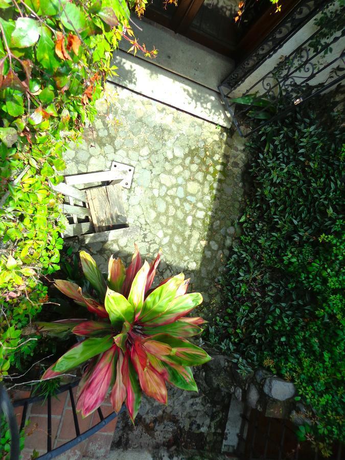 Cissus Hotel Boutique (Adults Only) Antigua Eksteriør bilde