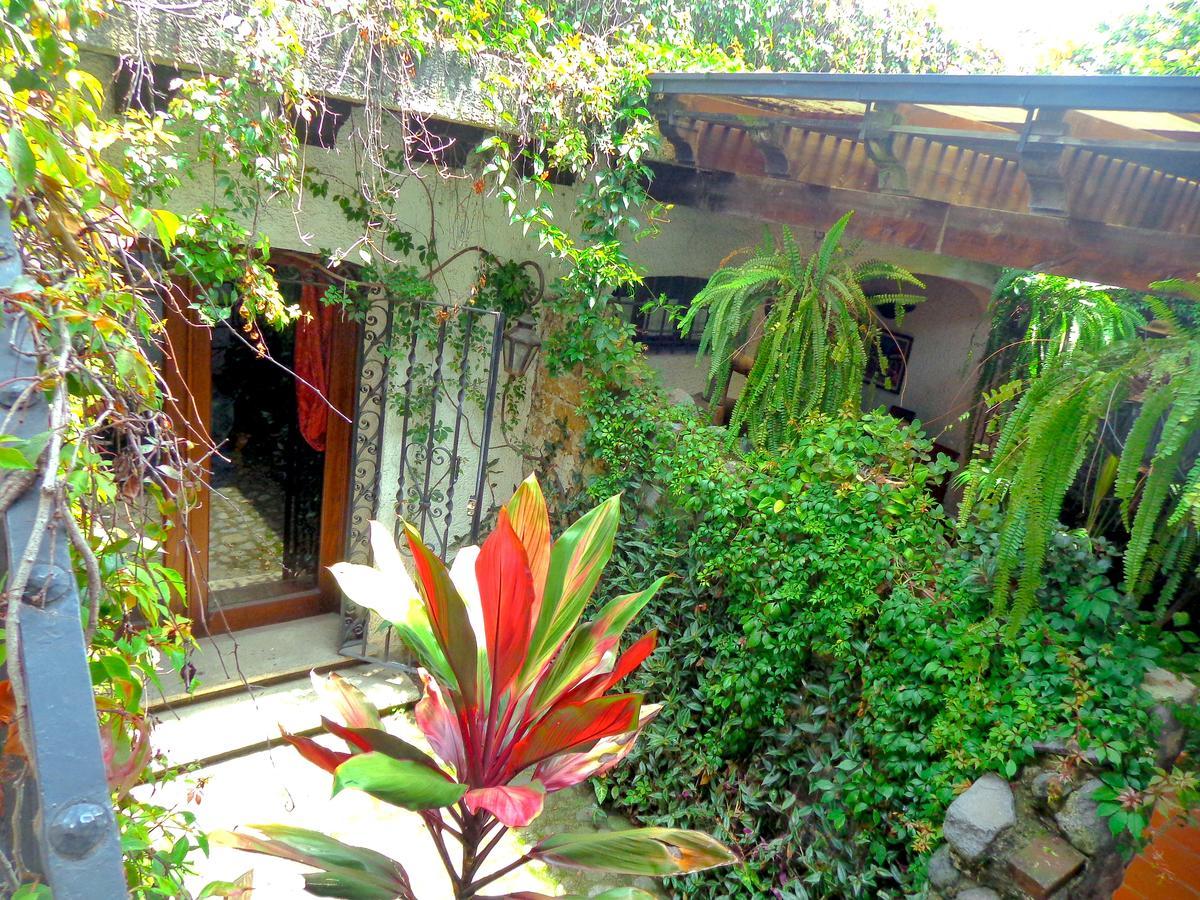 Cissus Hotel Boutique (Adults Only) Antigua Eksteriør bilde